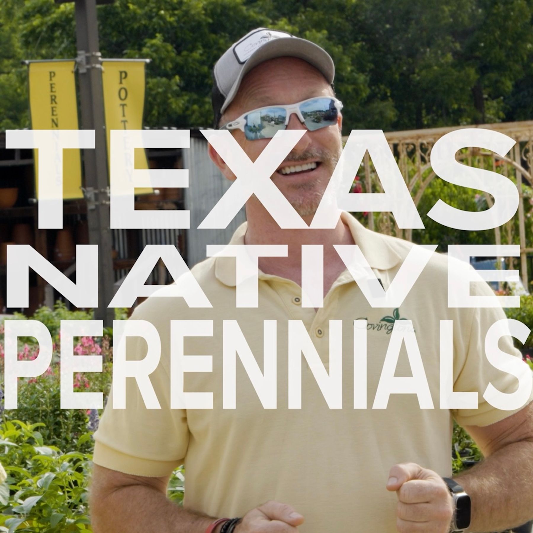Texas Native Perennials SQUARE